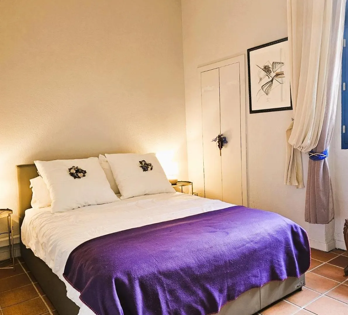 Manoir De Duke - Piscine, Parc Arbore, Clim, Parking Gratuit Cannes
