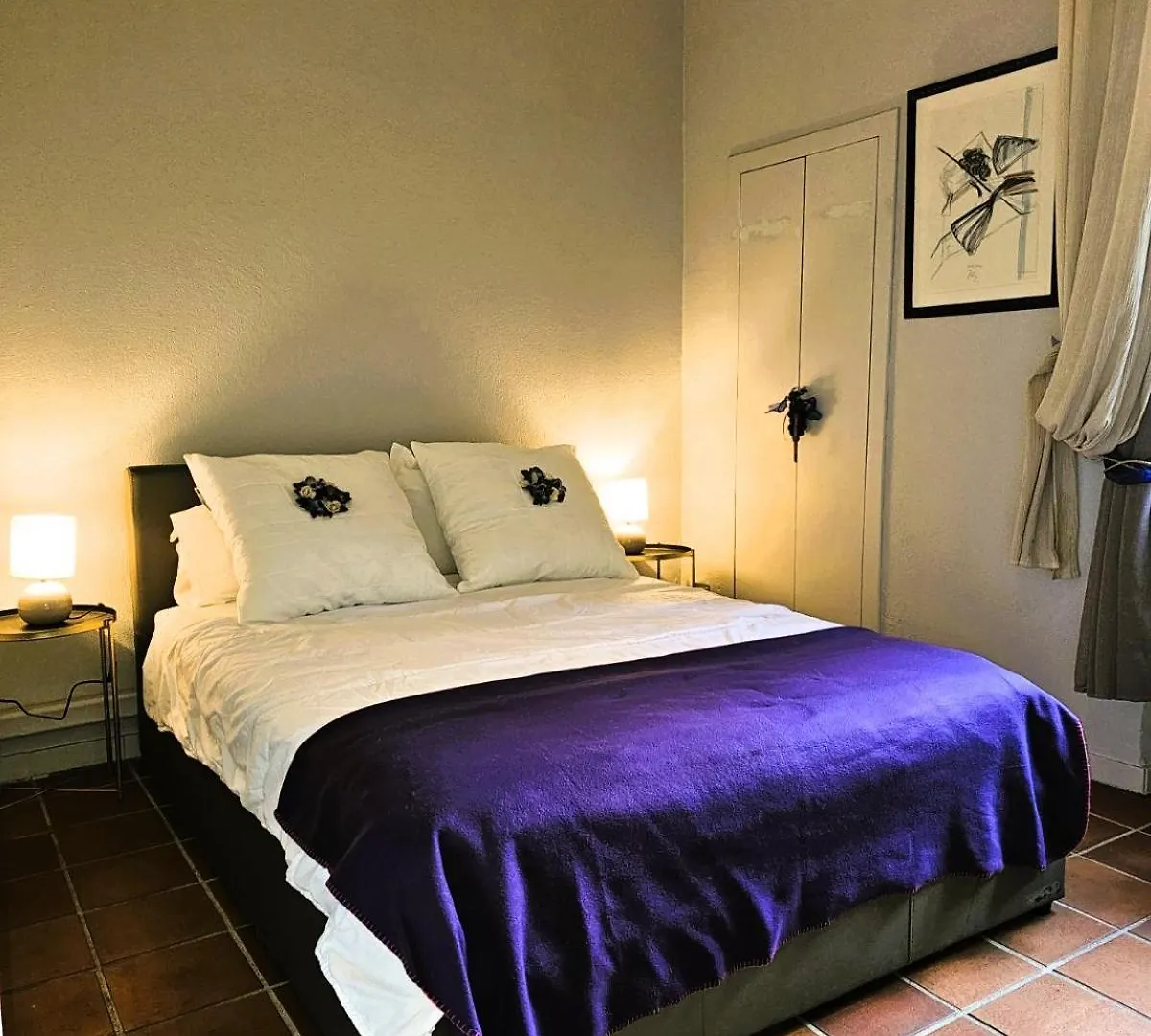 Manoir De Duke - Piscine, Parc Arbore, Clim, Parking Gratuit Cannes France
