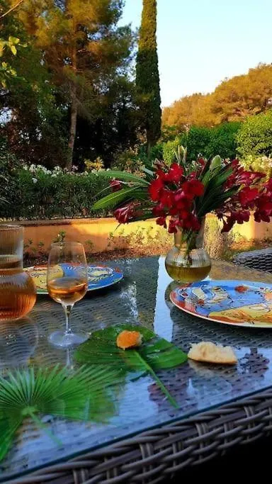 Manoir De Duke - Piscine, Parc Arbore, Clim, Parking Gratuit Cannes 0*,  France