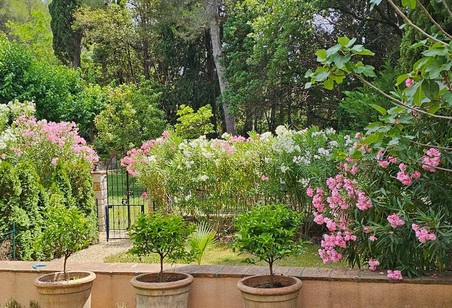 Manoir De Duke - Piscine, Parc Arbore, Clim, Parking Gratuit Cannes